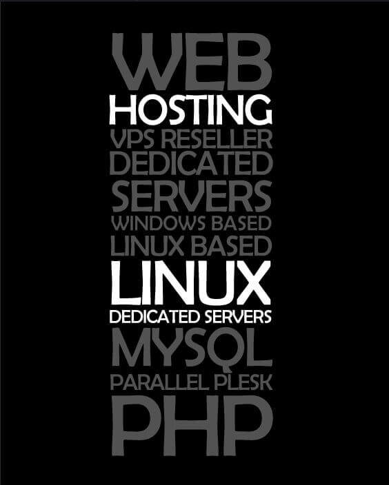 Web hosting